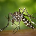 A situação da dengue ainda preocupa