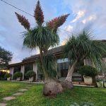 A Emater Selbach, vai realizar um dia de campo Paisagem e jardinagem. Detalhes com a extensionista Istela Cristina Fritsch.