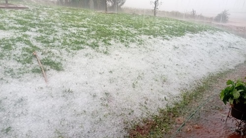 Confira Imagens do temporal em Selbach e Região